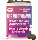 Dog multivitaminski mehki žveči - 120 Count - Dog Joint dodatek, Prebavni, Imunski, Kožna, Plašč - Kombinirani napredni vitamini za pse, vse pasje dobe - Izdelano v ZDA