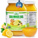 EverSmith Organics Wildcrafted Irish Sea Moss Gel, Lemon Ginger, 1 Jar | Made in USA, Rich in Nutrients, Sea Moss Gel Raw, Vegetables & Fruits, Sustainably Harvested, Essential Vitamins and Minerals