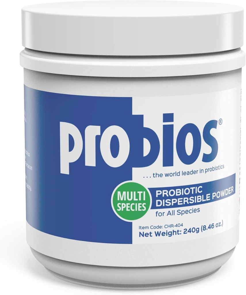 Implementació probios Digest probiòtica per a tots els Speclis, Probiotics per a Gut health, Disperserible Powder, 240 gm