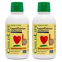 ChildLife Essentials Liquid Calcium Supplement for Kids - Baby & Toddler Calcium with Magnesium, Zinc, and Vitamin D 3 - Orange Flavor, 16 fl oz (2 Pack)