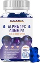 Alfa GPC Choline Gummies 600mg Phosphatidylserine & Bacopa-rekin - 3in-1 Brain Support for Memory, Focus & LongTerm Cognitive Health - Sugar-Free, Natural Formula, 60 Count