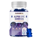 Alpha GPC Choline Gummies 600mg with Phosphatidylserine & Bacopa – 3-in-1 Brain Support for Memory, Focus & Long-Term Cognitive Health – Sugar-Free, Natural Formula, 60 Count