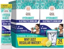 GuruNanda Hydramate Hydration Support Drink Mix - Electrolyte Powder Packets for Dehydration, Exercise & Energy - No Added Sweeteners, Non-GMO, Natural Lemon Lime Flavor - 24 Count (0.56 oz Each)