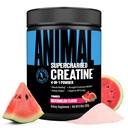 Animal Supercharged Creatine Powder - Flavored Creatine Monohydrate Enhanced with Betaine Anhydrous, PurpleForce & Senactiv, Strength, Endurance, Muscle Recovery for Men and Women - Watermelon, 300g