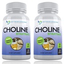 Premium Choline - 500 mg - 120 Veggie Capsules - Supports Cognitive Health, Memory & More - 2 Pack