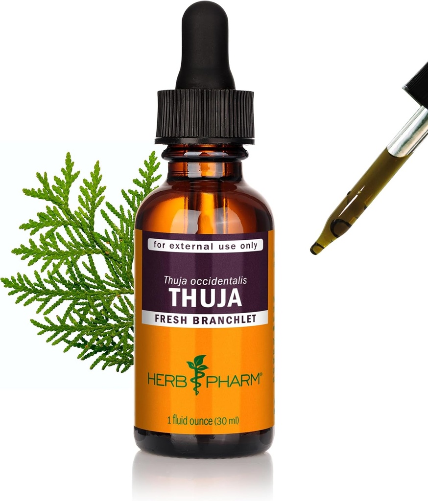 Herb Pharm Thuja Branchet Šķidrais ekstrakts - 1 Ounce (DTHUJA01)