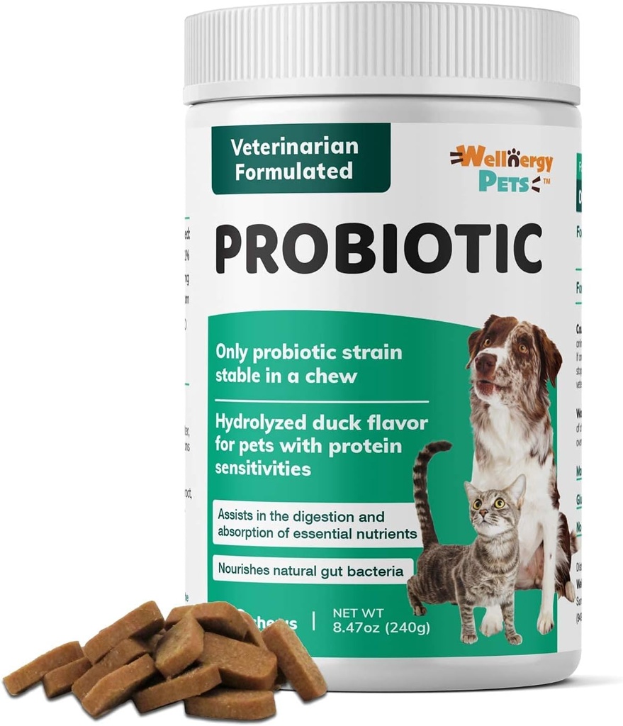 Bénergy Daily Probiotic i Prebiotics Soft Chew per a Dogs i Cats - Implementació organitzada per a Diahera, Constip, Sodimach, Indigestió & Gas - Ajudas Digestion, Allergy Skin & ImneneneeC 160ct