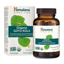 Himalaya Organic Gotu Kola, 45 Day Supply - Herbal Nootropic supplement with Adaptogens for Energy, Focus, Memory, and cooling chillation - Vegan, Non-GMO, Gluten Free, 650 mg, 90 Caplets