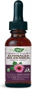 Nature's Way Premium Formula Echinacea-Goldenseal, 250 мг на порцию, 99,9% без алкоголя, 1,01 Oz.