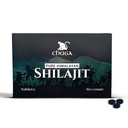 Chuga Pure Himalayan Shilajit Tablets for Men & Women | Organic Shilajit Harvested 16,000 Feet | Lab Tested in USA, 75+ Fulvic Acid, Grade A, Immune Booster, Shilajit Tablets, 60 Servings (1)