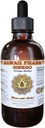 Ginkgo Liquid Extract, Organic Ginkgo (Ginkgo Biloba) Tinktuur Supplement 4 oz