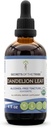 Segredos da Tribe Dandelion Leaf USDA Orgânico Extrato Livre de Álcool, Drops de Ervas de Alta Potência, Feito a partir de 100% certificado Orgânico Taraxacum Officinale Folha seca 4 fl oz