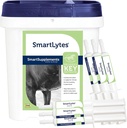 SmartEquine SmartLytes Horse Electrolyte Powder Supplement & SmartLytes Paste Horse Electrolyte Paste 6 Tubes Bundle, Encourages Hydration, Replenishes Electrolytes, No Added Sugar