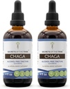 Tribe Chaga Tincture Alkol-Free özü, Wildcrafted Chaga (Inonotus obliquus) bütün Mushroom (2x4 FL OZ)