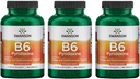 Swanson B6 Pyridoxine - Vitamin Supplement Promoting Cardiovascular Health & Energy Metabolism - Natural Formula Promoting Overall Wellness - (250 Capsules, 100mg Each) 3 Pack