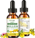 Mullein picături pentru plămâni, Lung Detox & Curățare pentru fumător, Organic Mullein Leaf Extract pentru Plămâni w. Elderberry, Ginger, Mullein Tincture Alcool gratuit pentru respirație Lung Health 2 FL/OZ