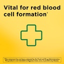 Természet Made Iron 65 mg (325 mg vas-szulfát) tabletta, étrend-kiegészítő Red Blood Cell Support, 180 tabletta, 180 napos ellátás (2-es csomag)