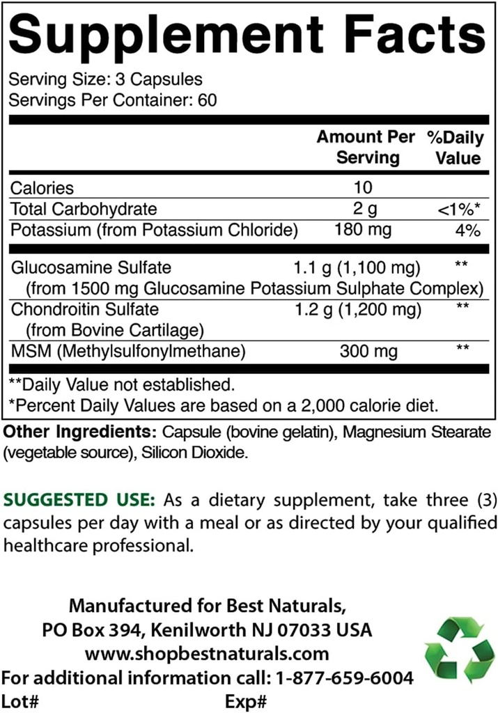 Best Naturals Glucosamine Chondroitin and MSM & Magnesium Oxide 500 mg