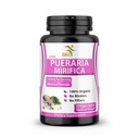 Pure Pueraria Mirifica Supplement 500mg Root Extract Powder Imported from Thailand - Promotes Women’s Health, Organic Natural Herbal, 60 Veggie Capsules