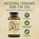 Immune Pill 90 Capsules - Imuninė sistema Parama w / Vitaminas C, Elderbergo vaisiai, Prunella Vulgaris, Echinea & Cordyceps grybų kapsulės - Imuninė sistema Booster / Imuniniai Boosters suaugusiems ir vaikams