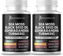 Sea Moss Black Seed Oil Ashwagandha Turmeric Bladderwrack Burdock - avec Manuka, miel Dandelion, vinaigre de cidre noir sans gluten- 120 Compte