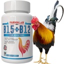 Farmalab B12 B15 for Roosters B15 B12 para Gallos 100 Tablets