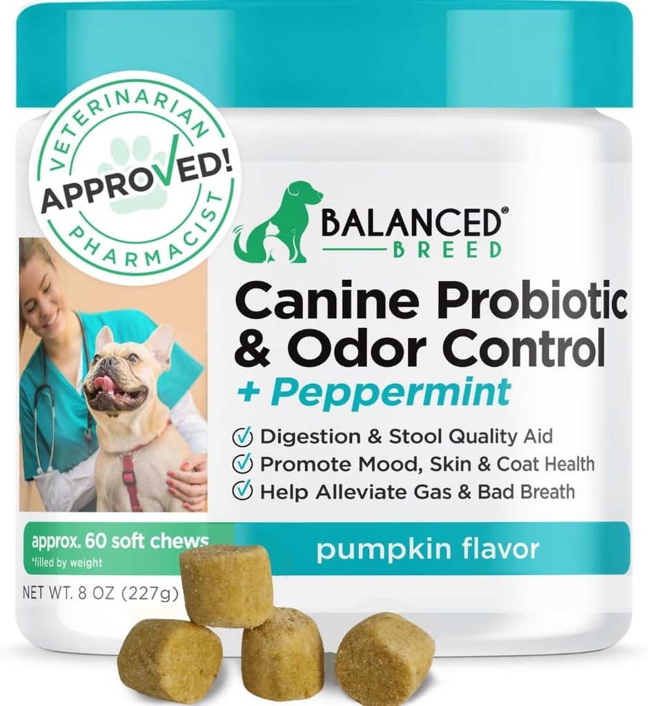 Balanced Breed Dog Probiotics Verdauungs-Gesundheitsenzyme Made in USA Vet-Pharmacist zugelassen Fortiflora Probiotics Hunde Anti-Just-Ergänzungen Behandlung Relief Hund Yeast Itchy Skin Itchy Ohren Non-GMO