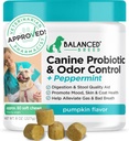 Sự cân bằng giữa loài chó Probioses Chastion Health Enzymes được thực hiện ở Mỹ Vet-Pharmacist Approved Fortiflora Probioics Dogs anti Yeast Constripation Dog Yeahst Ist Ist Ichy Tai Non-GMO