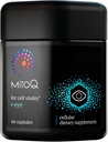 MitoQ +Eye Advanced CoQ10 Antioxidant - Mitoquinol Mesylate, Lutein, Zeaxanthin, Bilberry, Maritime Pine Bark - Eye Health, Blue Light Filtration eta Cell Vitality onartzen ditu (60 kapsulak)