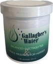 Air Gallagher yang Balanced Elektrolytes dan Trace Mineral untuk Kuda, 1LB