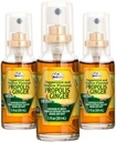 Včelí olej Propolis Sprej Propolis Honey & Ginger Propolis Spray- Natural Immune Support & Bee Propolis Extract-Antioxidanty, Bohaté na Flavonoidy & Artepillin, bez cukru, Gluten-Free- 3-Pack, 90ml