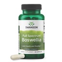 Swanson Double Strength Boswellia Serrata Ayurvedic Joint Supplement for Active Adults Seeking Flexibility and Mobility Support - 800 mg (60 Capsules)