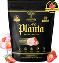 Ambrosia Planta - Premium Plant-Based Білок Vegan & Кето Друге солодкі аромати з No блювотні або Stomach Upset No Доданий Цукор 14 Сервінги (Strawberry Ice Cream)