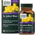 Gaia Herbs St. John's Wort, Vegan Liquid Capsules, 60 Count - Stress Supporto per promuovere un Positivo e Sunny Mood
