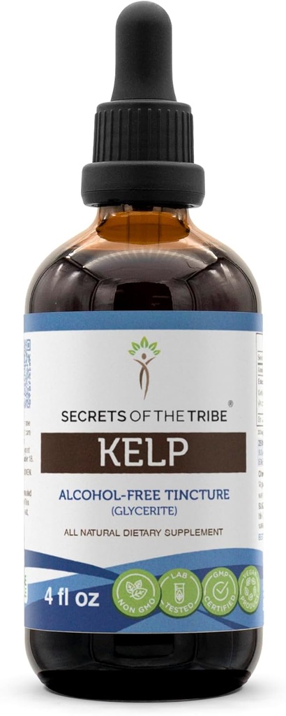 Hemligheter i stammen Kelp Tincture Alcohol-Free Liquid Extract, Kelp (Ascophyllum nodosum) Torkade växt (4 FL OZ)