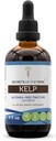 Secrets of the Tribe Kelp Tincture Alchol- Free Liquid Extract, Kelp (Ascophyllum nodosum) Sured Plant (4 FL OZ)