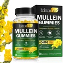 Mullein Gummies for Lung Detox, 2000mg Mullein Leaf Ekstrakt for pustende og digestiv & immun støtte w/Quercetin, Bromelain, Elderberry & Marshmallow, Vegan 120 Gummies (1 flaske 60 gummies) (1)