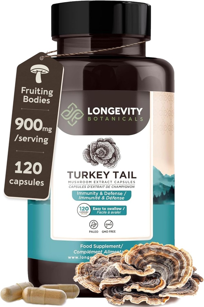 Ekologiskt Turkiet Tail Mushroom kapslar Tillägg (120) | Pure Fruiting Body 10:1 Hög styrka Extract | 50% Beta-D Glucans | 9,000mg Raw Equivalent Per Servering | Immune, Gut & Microbiome Support