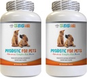 psy probiotyczne enzymy trawienne - PET PROBIOTIC - DOGI I CATS - DIGESETIVE BOOST - GET RID OF BAD BREATH AND STOP DIARRHEA - lactobacillus salivarius probiotic - 2 Bottles (120 TRACES)