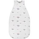 Woolino Merino Wool Ultimate Baby Sleep Sack - 4 Season Baby Wearable Blanket - Two-Way Zipper Adjustable Sleeping Bag for Babies and Toddlers - Universal Size (2-24 Months) - Rainbow