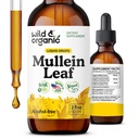 Wild & Organic Mullein Drops for Lungs - Detox and Cleanse - Mullein Leaf Extract for Lungs with Echinacea - Add to Tea - Verbascum Thapsus Tincture - Sugar & Alcohol-Free Liquid Supplement - 2 fl oz