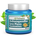 HERBOGANIC Ashwagandha Sea Moss Gummies - 60 Count