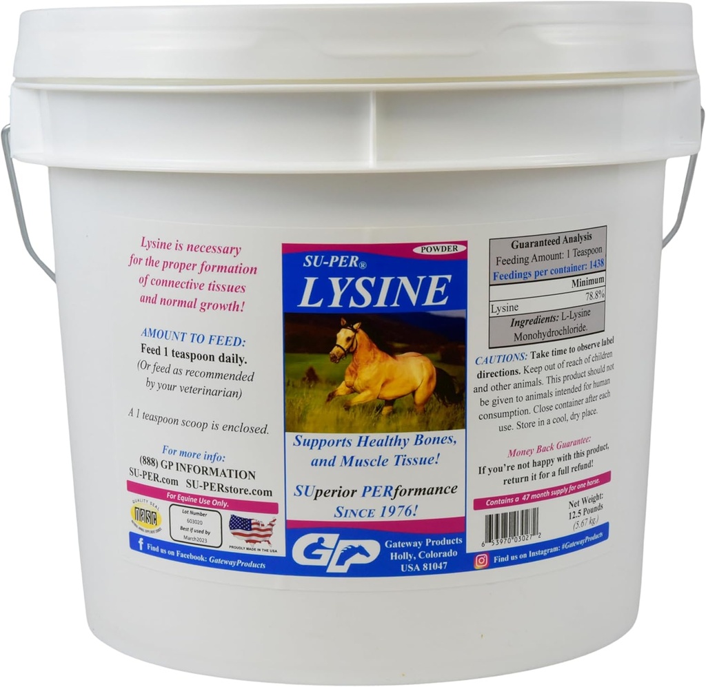 Atlar için Lysine Supplement - Sağlıklı Kemikler ve Kas Doku Dokular - Equine Essential Amino Asit - 12.5 Pound, 47 Ay Supply