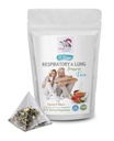 Pepermuntthee - RESPIRATORIUM EN LUNG ONDERSTEUNING TEA 14 dagen - astragalus membranaceus wortel, kaneel, Hibiscus, Marshmallow Root, biologische kruidenthee, longsteunkruiden, immuunthee - 1pack 14 zakken