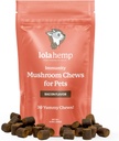 Lolahemp Mushroom for Dogs - Tasty Chews with Organic Mushroom for Immune System & Cognitive Health - טורקיה Tail, Reishi, Shiitake, Maitake & Lion's Mane