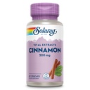 SOLARAY Cinnamon Extract 300mg - Cinnamon Supplements for Balance - Herbal Support with 24mg Flavonoids - Lab Verified, Gluten Free, 60-Day Guarantee - 60 Servings, 60 VegCaps