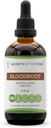 Tribe Bloodroot Tincture 알코올 추출물의 비밀, 책임감있게 농장 혈액 뿌리 (Sanguinaria Canadensis) 건조 뿌리 (4 FL OZ)