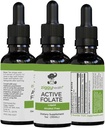 Active Folate Pure Liquid Extract Supplement - L-Methylfolat für bessere Absorption, Gehirngesundheit, Verbesserung der zellulären Funktion, Unterstützung Immunsystem, Wasser löslich B Complex, 1oz - von Ziggy Health