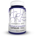 Nootropics Depot Polygala tenuifolia Capsules | 100mg | 90 Count | 20:1 Extract | Yuan Zhi | Promotes Cognitive Function, Learning and Memory | Supports Healthy Stress Levels | Adaptogen Supplement