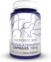 Nootropics Depot Polygala tenuifolia Capsules | 100mg | 90 Count | 20:1 Extracto | Yuan Zhi | promove a función cognitiva, aprendizaxe e memoria | soporta niveis de estrés saudables | Suplemento de adaptogen